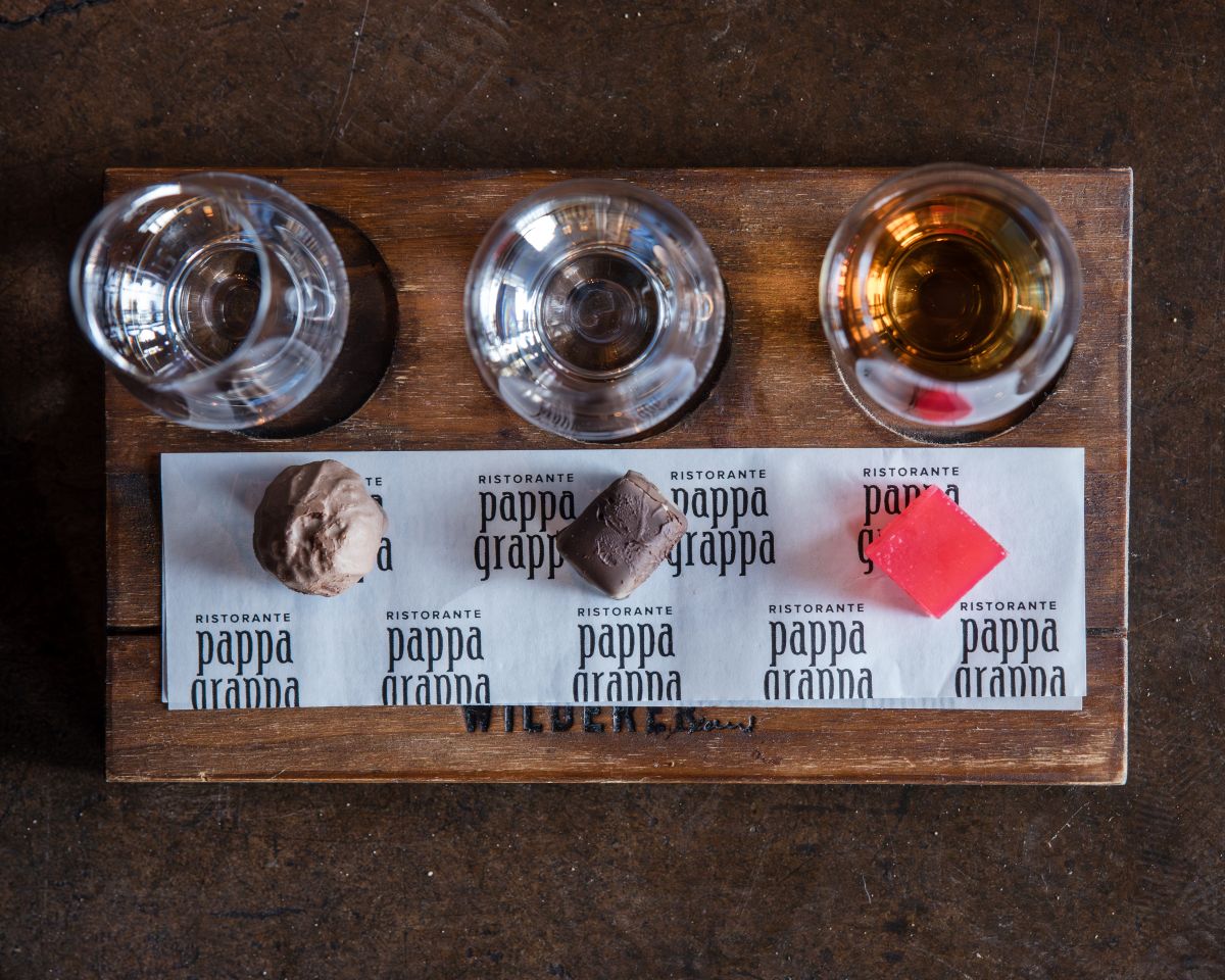Gin and Bitter Tasting